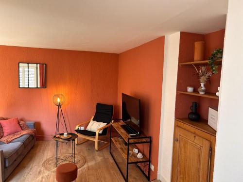 salon z kanapą i telewizorem w obiekcie Un cocon au cœur de la champagne avec parking w Épernay