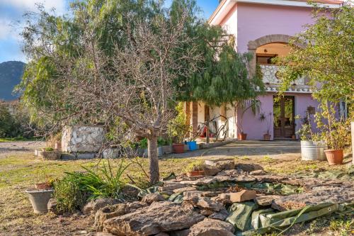 a house with a tree in the front yard at Bruna's House in Domusnovas