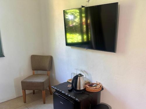 TV a/nebo společenská místnost v ubytování Arthotel Oscar II Sozopol