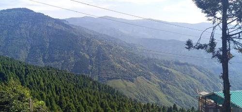 a view of a mountain with trees on it at Mane Dara homestay in Darjeeling