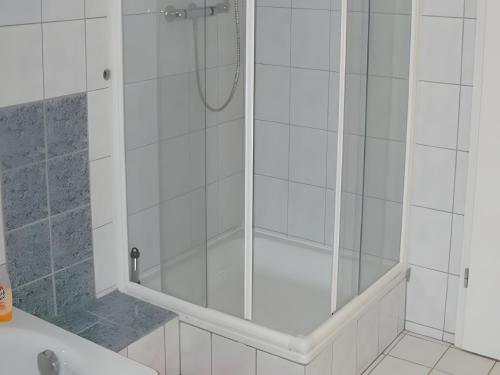 a shower with a glass door in a bathroom at Ferienwohnung Sonnenblick in Eisenbach
