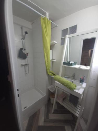 une salle de bain avec une douche et un lavabo et une douche dans l'établissement SanYo, à Briare
