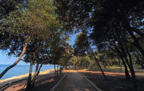 a tree lined path next to the water at Rustic villa Casa Tessa with outdoor pool in Tar in Tar