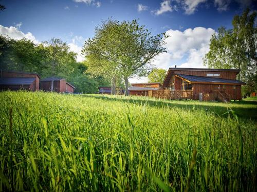 a field of tall grass in front of a house at Forest of Dean Cabins - Forest Holidays in Staunton