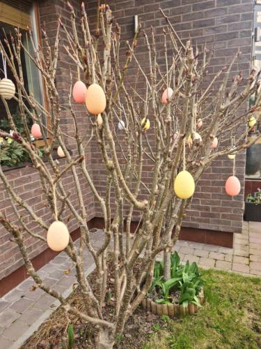 a tree with easter eggs on the branches at Vila Šventoji in Šventoji