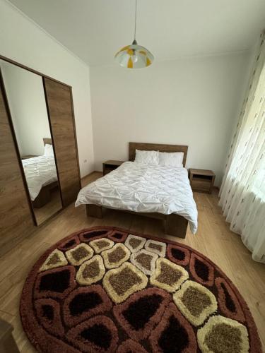 a bedroom with a bed and a rug and a mirror at Edy Central Apartment in Arad