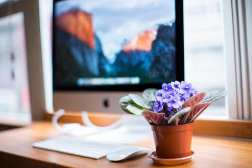 a desk with a computer and a vase with purple flowers at Check Inn HK in Hong Kong