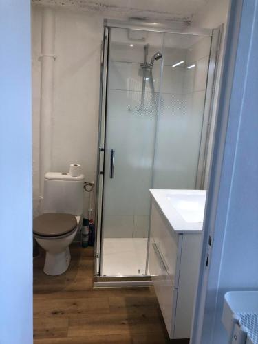 une salle de bain avec une douche, des toilettes et un lavabo dans l'établissement Le Paul Bert, à Tours