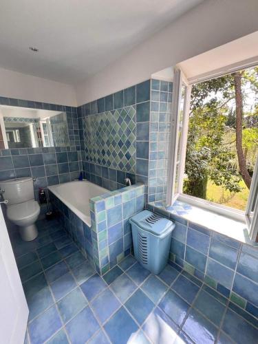 La salle de bains est pourvue de carrelage bleu, d'une baignoire et de toilettes. dans l'établissement Le Mas Provençal, à Mouans-Sartoux