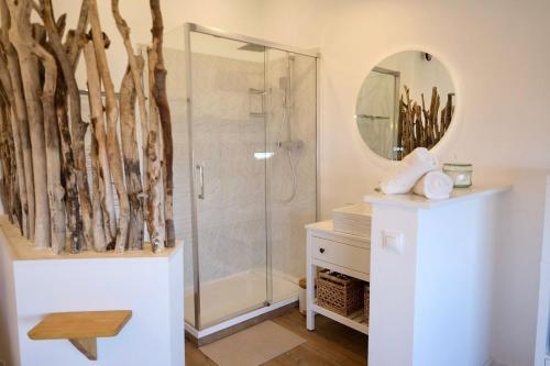 une salle de bain avec douche et miroir dans l'établissement Duplex rénové U Fragnu, à Prunelli-di-Fiumorbo