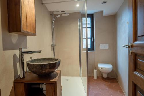un bagno con lavandino, doccia e WC di Maison alsacienne a Sélestat