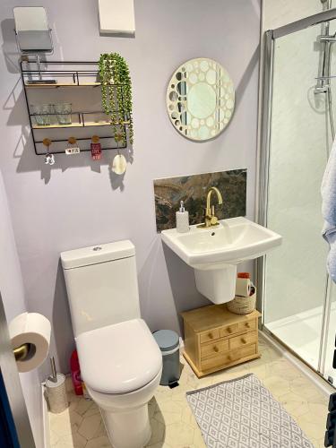 a bathroom with a toilet and a sink at The Big Slepe in St. Ives