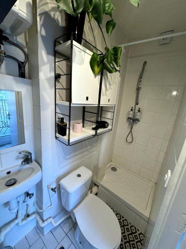 une salle de bain avec toilettes, lavabo et douche dans l'établissement Studio en plein cœur du Marais, à Paris