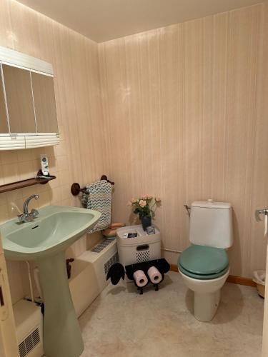une salle de bain avec des toilettes blanches et un lavabo dans l'établissement Maison De Roxy, à Courban