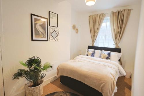 a bedroom with a bed and a plant in it at Two bedroom flat in St Michael's Hill in Bristol