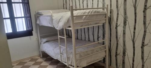 a couple of bunk beds in a room at ADANAR-Las Columnas in Granada