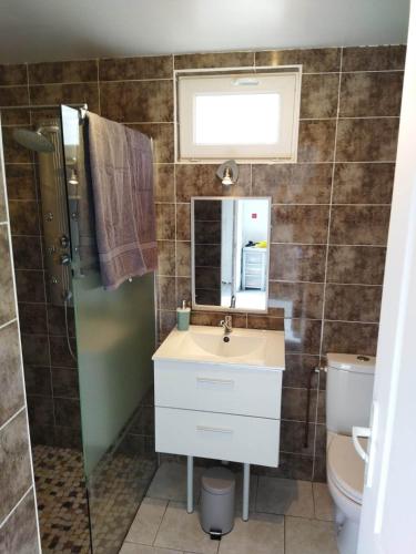 une salle de bain avec un lavabo, des toilettes et un miroir dans l'établissement Gîte entre fécamp et etretat, à Mentheville