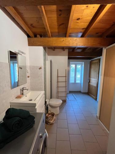 une salle de bain avec un lavabo et des toilettes dans l'établissement Maison de ville-3 chambres-2 salles de bain, à Viviers
