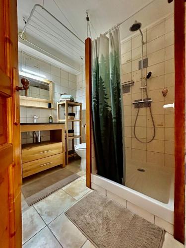 une salle de bain avec douche et toilettes dans l'établissement À 5 minutes du lac,studio tout confort, parking privé gratuit, lit queen-size, à Saint-Jorioz