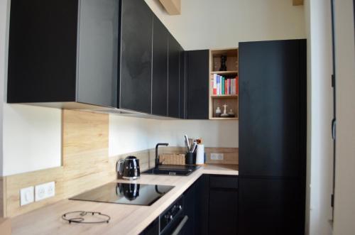 - une cuisine avec des placards noirs et un évier dans l'établissement T2 Cannes centre, à Cannes
