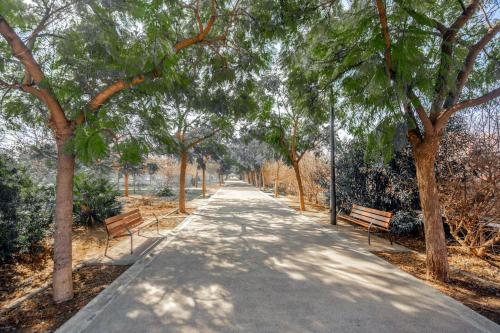 a path in a park with benches and trees at Suite Guillem Jáfer by Host Valencia in Valencia