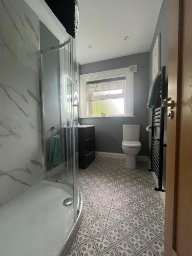 a bathroom with a shower and a toilet in it at Laurel cottage in Omagh