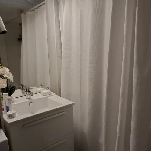 une salle de bain avec un lavabo et un rideau de douche dans l'établissement Appartement familial à L’Île-Saint-Denis, 67 m², balcon privé, à LʼÎle-Saint-Denis