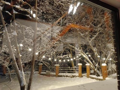 a room with snow covered trees and lights at Woodland Paradise in Gabala