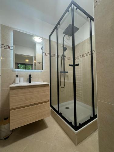 une salle de bain avec douche et lavabo dans l'établissement Spacieux 2 pieces au Port de Nice, à Nice