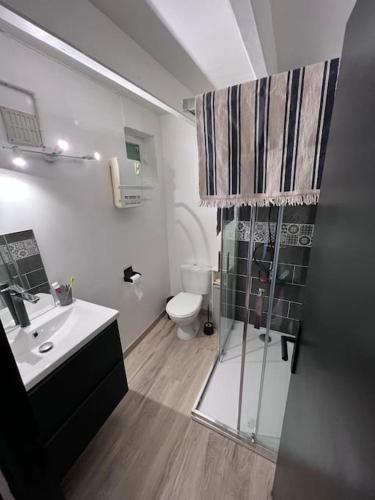 une salle de bain avec une douche, un lavabo et des toilettes dans l'établissement Maison familiale, à La Salvetat-sur-Agout