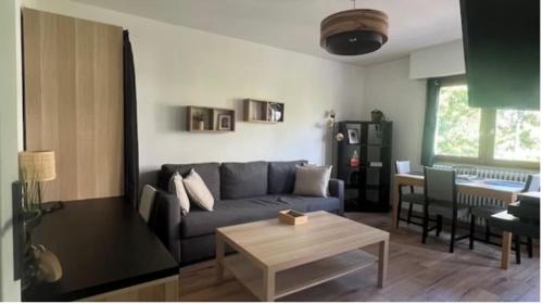 un salon avec un canapé et une table dans l'établissement Charmant Studio à 5 min du Lac, à Annecy
