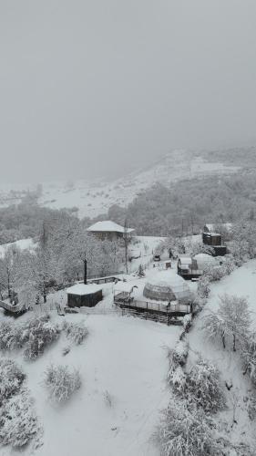 Dream Domes Glamping House