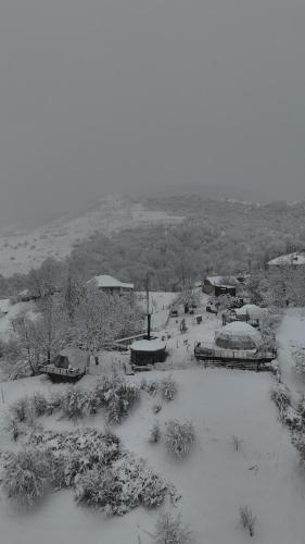 Gallery image of Glamping Dream Domes Ismayilli in İsmayıllı
