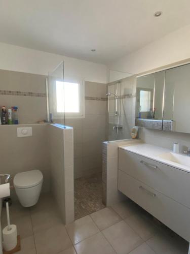 une salle de bain avec toilettes, lavabo et douche dans l'établissement Maison bord de mer en Corse, à Borgo
