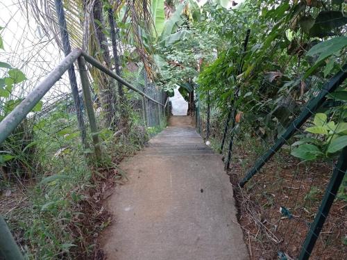 a path through a fence with a person walking down it at Haut de villa indépendant, vue et accès mer, 100m de la plage, idéal famille in La Trinité