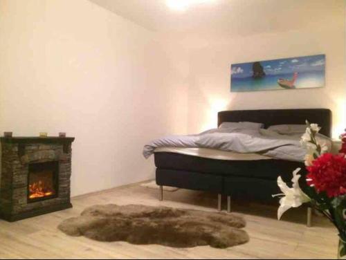 a bedroom with a bed and a fireplace at Köln Altstadt Charmantes Studio in Cologne