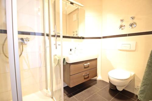 a bathroom with a shower and a toilet and a sink at Zentrumsnahe Ferienwohnung Grüne Tanne WLAN, kostenloser PKW Parkplatz , zwei Betten, Schlafcouch, Küche in Jena