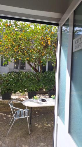 Giardino di City Loft