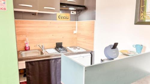 une petite cuisine avec un évier et un comptoir dans l'établissement Saint François, à Bordeaux