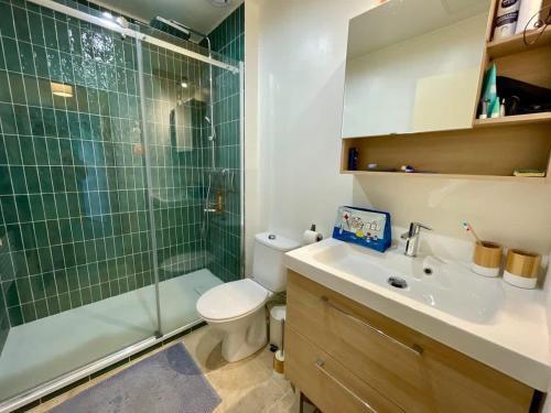 une salle de bain avec une douche, des toilettes et un lavabo dans l'établissement Appt XVIII centre historique rue du Cloître, à Bordeaux