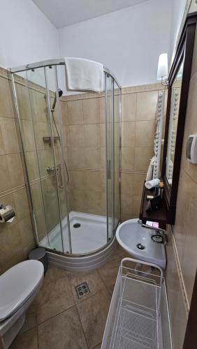 a bathroom with a shower and a toilet and a sink at Trifecta Udvarház in Tállya