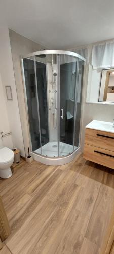 une salle de bain avec douche et toilettes dans l'établissement Studio Marie Rose, à Spincourt