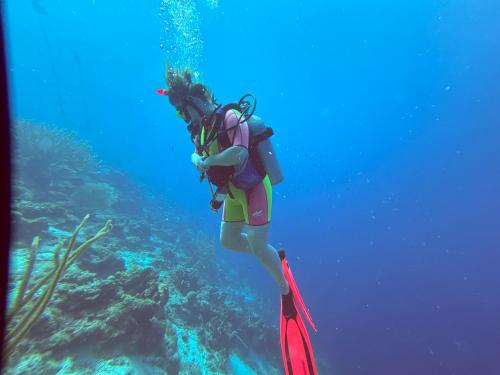 a person in the ocean with a red scuba diver at Modern appartement bij zee met zwembad op Blue Bay - Tripletree the hill in Sint Michiel