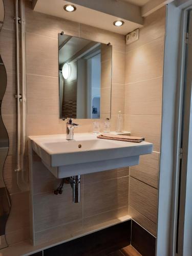une salle de bain avec un lavabo blanc et un miroir dans l'établissement Giverny, Cosy studio au vert, à Giverny