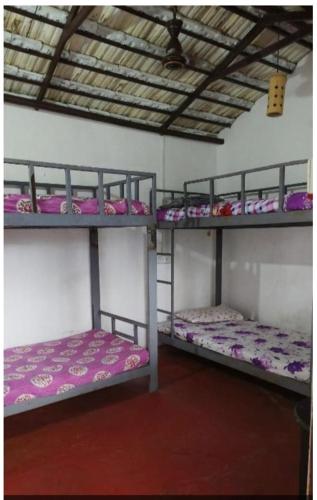 a group of bunk beds in a room at Adam's Heaven in Alleppey