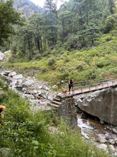 a person and a dog crossing a bridge over a river at Formosa cafe & hostel in Kasol