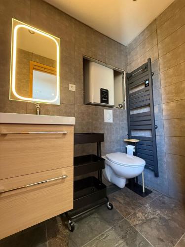 une salle de bain avec un lavabo, des toilettes et un miroir dans l'établissement Le 3300 - 42 - Studio vue piste - 2 pers, à Les Deux Alpes