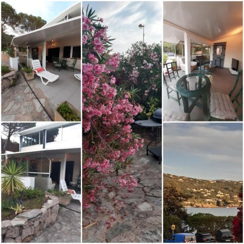 Vermentinu T1 bis 50 m plage du Ruppione