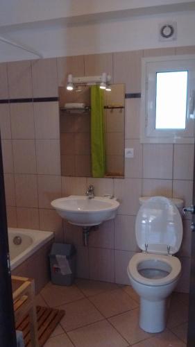 une salle de bain avec toilettes et lavabo dans l'établissement Les Terrasses de LOZARI de Nadine et Claude, à Belgodère