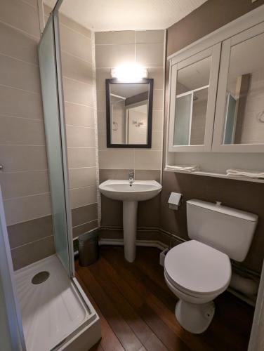 une petite salle de bain avec toilettes et lavabo dans l'établissement Studio proche de la gare, à Belleville-en-Beaujolais